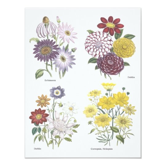 Garden Luncheon Card