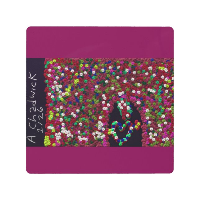 Garden Metal Print (Front)