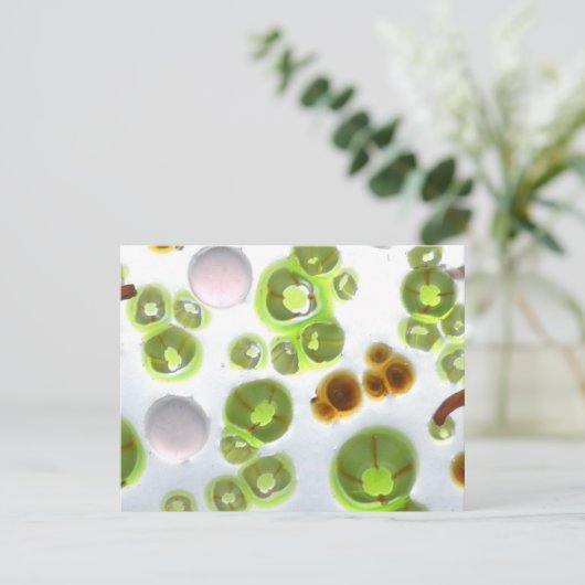 garden no. 10 (Standing Front)