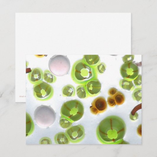 garden no. 10 (Front/Back)