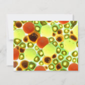 garden no. 2 (Front)