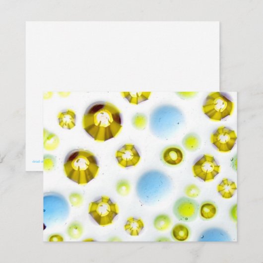 garden no. 3 (Front/Back)