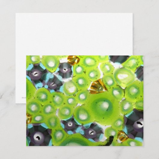 garden no. 4 (Front/Back)