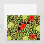 garden no.9 (Front/Back)