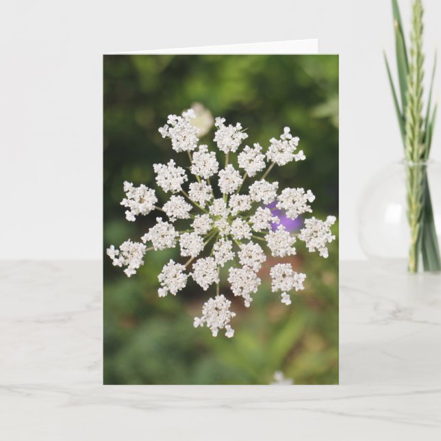 Garden O Weedin Talking Canyons, New Mexico Card (Front)