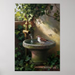 Garden Oasis: The Sparrow at the Fountain Poster