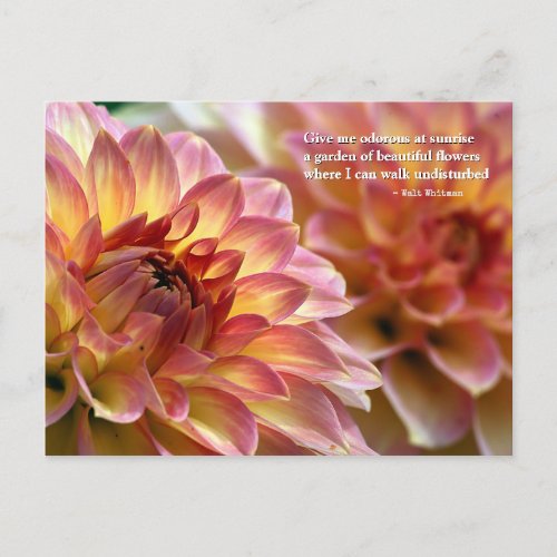 Garden of Beautiful Flowers Quote by Whitman Postcard