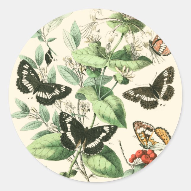 Garden of Butterflies and Flowers Classic Round Sticker (Front)