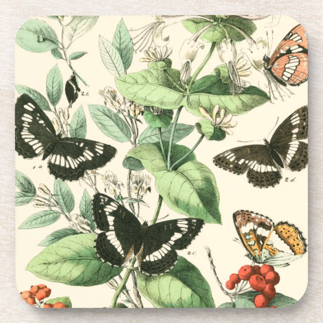 Garden of Butterflies and Flowers Drink Coaster (Front)
