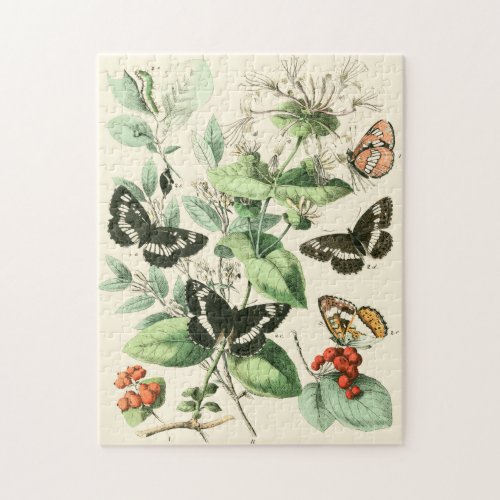 Garden of Butterflies and Flowers Jigsaw Puzzle