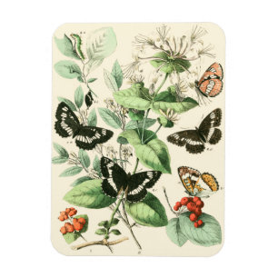 Garden of Butterflies and Flowers Magnet