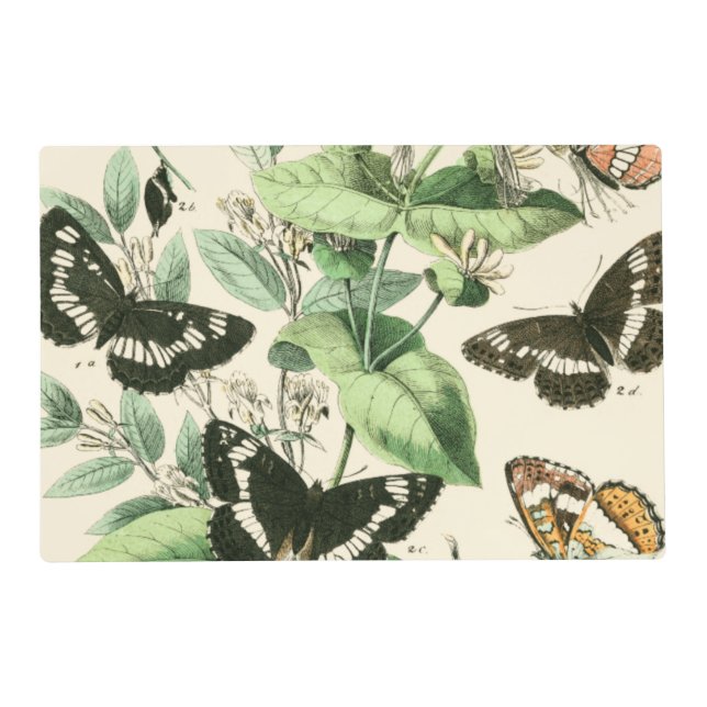 Garden of Butterflies and Flowers Placemat (Front)
