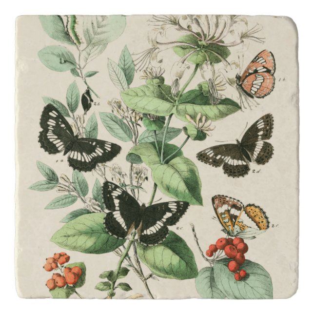 Garden of Butterflies and Flowers Trivet (Front)