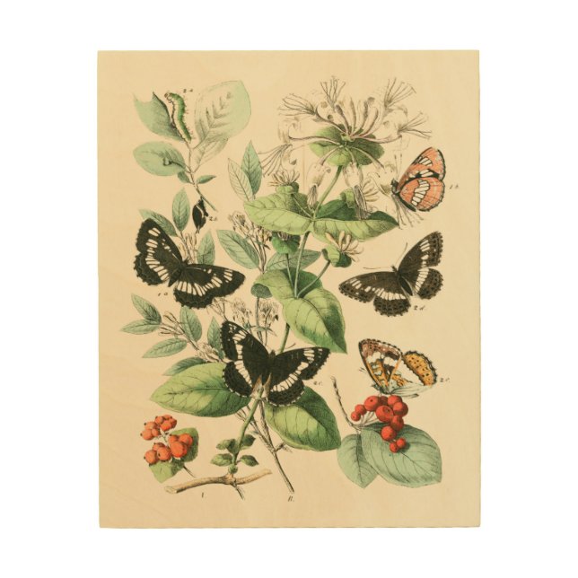 Garden of Butterflies and Flowers Wood Wall Art (Front)