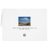 Garden of Eden Cards (Back Horizontal)