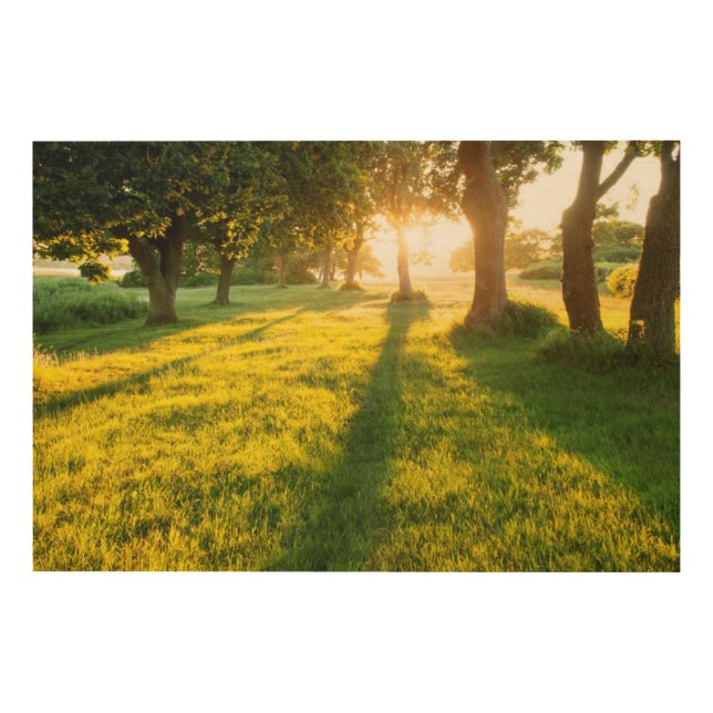 Garden Of Eden Oak Trees Wood Wall Art (Front)