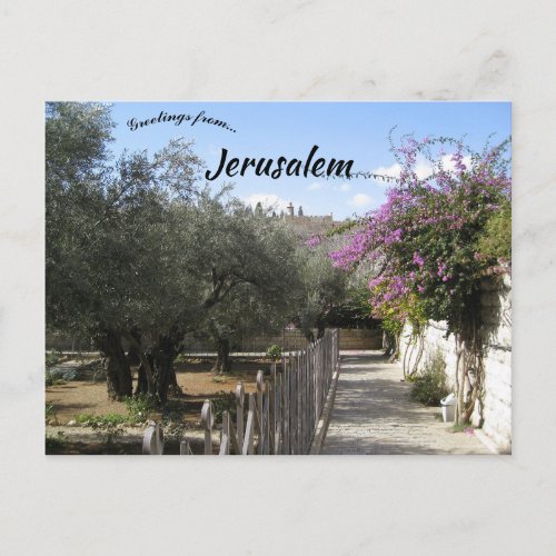 Garden of Gethsemane Jerusalem 2 Postcard