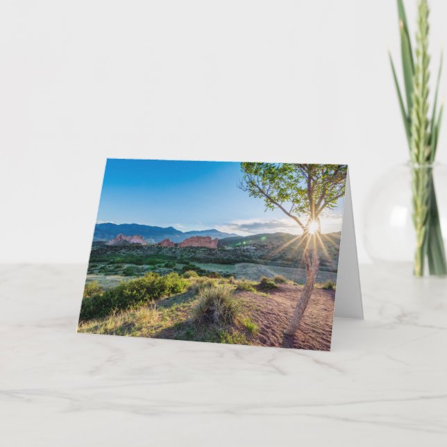 Garden Of Gods Tree Sunburst Greeting Card (Front)