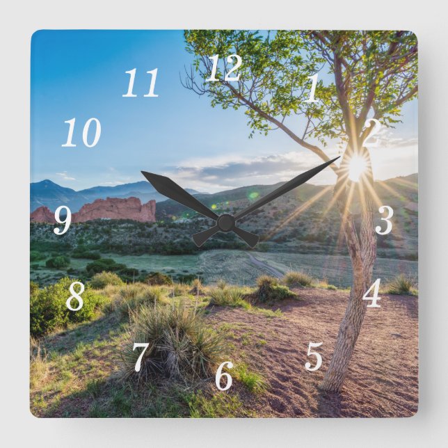 Garden Of Gods Tree Sunburst Wall Clock (Front)