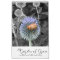 Garden of Grace: In Black & White & Color Calendar