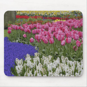 Garden of grape hyacinth, hyacinth and tulips, mouse pad