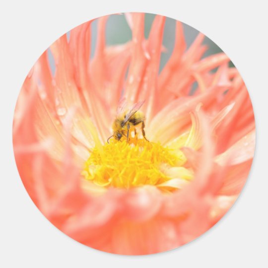 Garden of Rain - Bee Classic Round Sticker