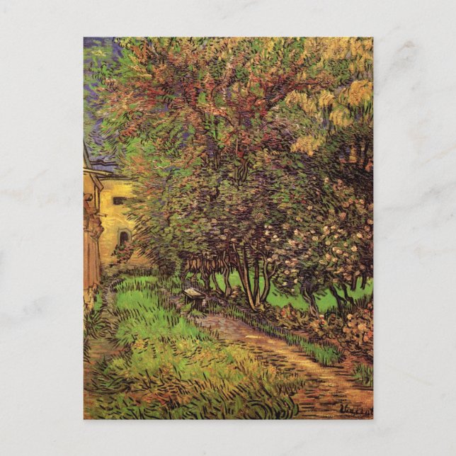 Garden of Saint-Paul Hospital, Vincent van Gogh Postcard (Front)