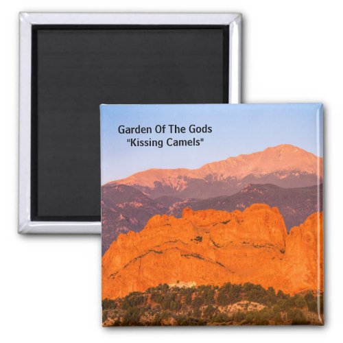 Garden of The Gods Kissing Camels Beauty Magnet