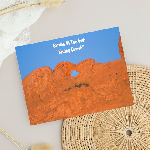 Garden Of The Gods Kissing Camels Postcard
