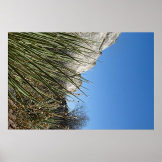 Garden of the Gods Poster