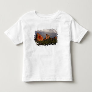 Garden of the Gods Toddler T-shirt