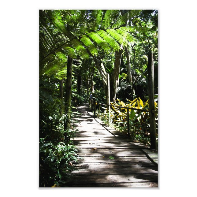 Garden of the sleeping giant, Fiji Photo Print (Front)