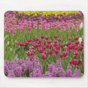 Garden of tulips, daffodils, and hyacinth mouse pad