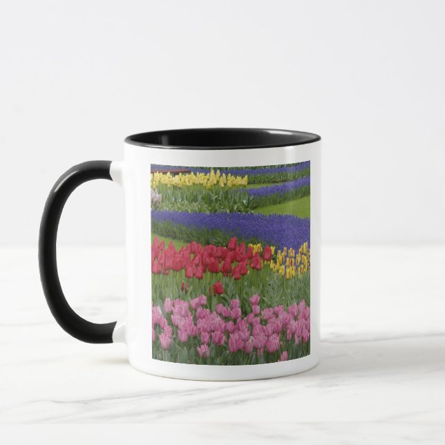 Garden of tulips, Grape Hyacinth and Mug (Left)