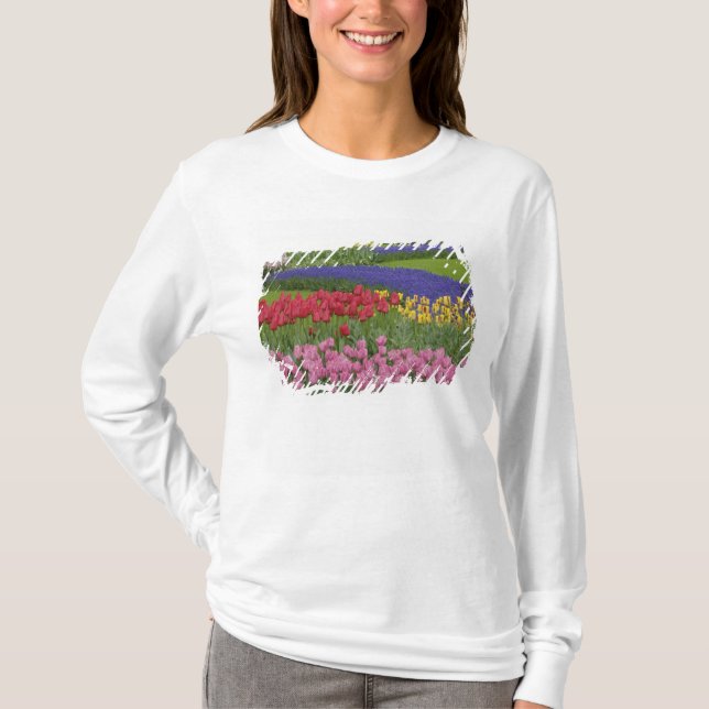 Garden of tulips, Grape Hyacinth and T-Shirt (Front)