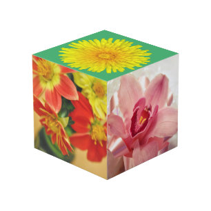 Garden on a Box Cube