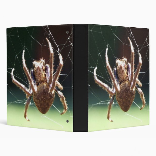 Garden Orb Weaver Spider Binder (Background)