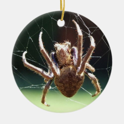 Garden Orb Weaver Spider Ornament