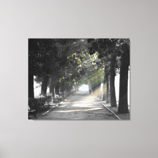Garden Path Canvas Print