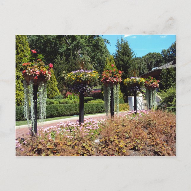 Garden Path Postcard (Front)