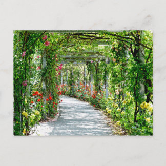 garden path postcard