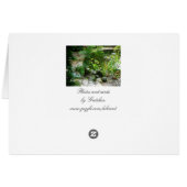 Garden Patio Cards (Back Horizontal)