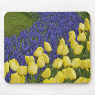 Garden pattern of Grape Hyacinth flowers and Mouse Pad