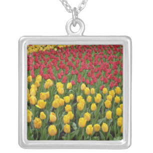 Garden pattern of tulips, Keukenhof Gardens, 2 Silver Plated Necklace