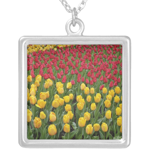 Garden pattern of tulips, Keukenhof Gardens, 2 Silver Plated Necklace (Front)
