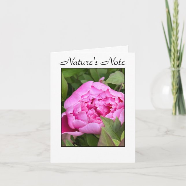 GARDEN PEONY PHOTO FLORAL NOTE CARD (Front)
