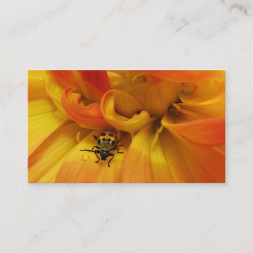 Garden Pest Control Business Card Templates
