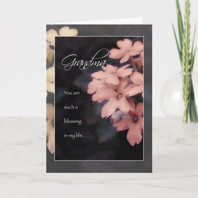 Garden Phlox Flower Birthday Card for Grandma (Front)