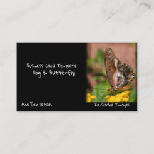 Garden Photography Butterfly Wings Dog