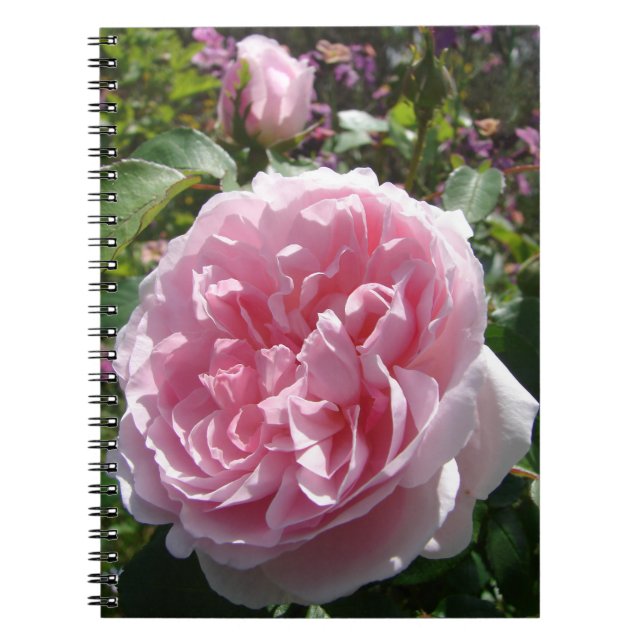 Garden Pink Vintage Rose Floral Flowers Notebook (Front)